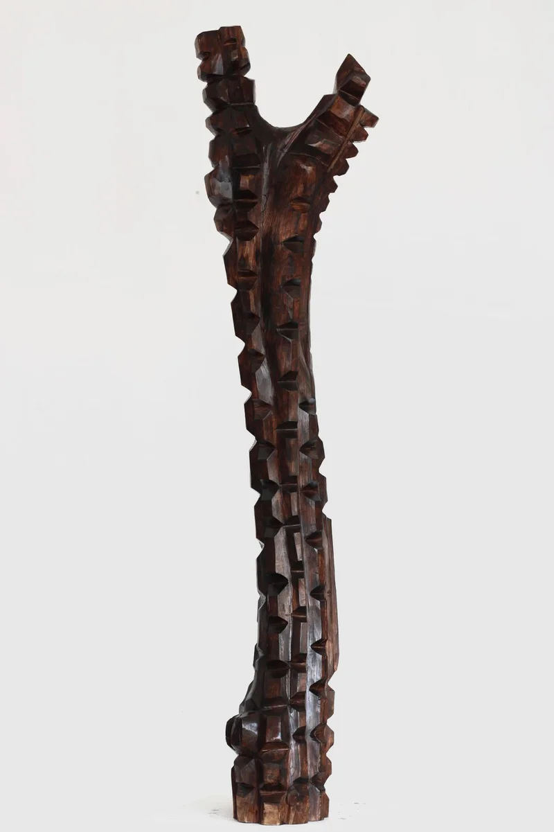 Motherwood ladder by Nwabisa Ntlokwana